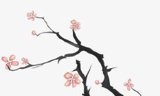 二月虎宝宝洋气小名
