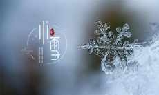 小雪出生的孩子算纯阴命不?小雪出生的命好