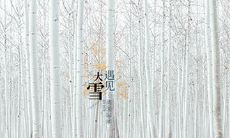 91年属羊大雪节气出生的女命详解,是什么命