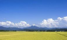 2019年4月出生的双胞胎男孩五行缺金起什么名字合适