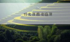 什么星座有通灵