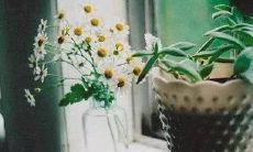 梦见死人复活是什么意思