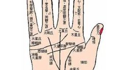 手相成功线怎么看 断断续续的