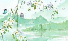 属虎虎年运势2022年麦玲玲