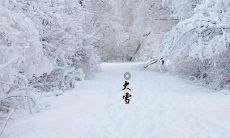 2019年大雪节气八字缺土男宝宝起名大全