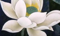 偏印格取用神