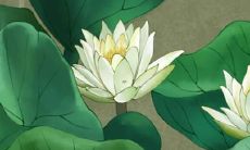 宸字取名的寓意男孩 精选男宝宝名字大全