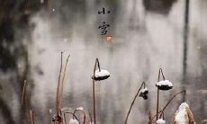 2019年小雪节气出生的女孩叫什么名字好听有寓意?