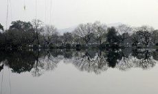 结婚黄道吉日-2019年2月8号结婚领证好吗