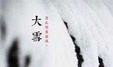2019猪年大雪出生男孩大气吉祥名字!