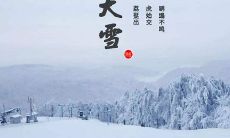 2019年12月7日大雪女宝宝五行缺土好名字精选!