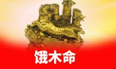 何为饿木命是什么意思