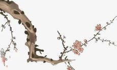 恩琦是女孩名字吗