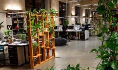 要想早日升职加薪 哪些办公室风水要注意?