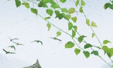2020年庚子年天下大乱 庚子年必有大乱吗