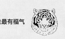 属虎几月出生最有福气