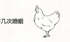 属鸡人有几次婚姻