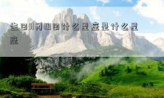 生日11月19日什么星座是什么星座