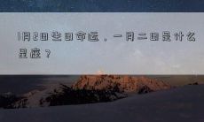 1月2日生日命运,一月二日是什么星座?