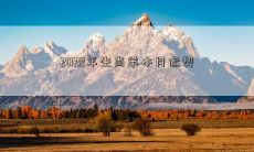 2022年生肖羊本月运势