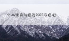 十二生肖马运势2022年运程