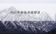 2022年生肖龙运势差