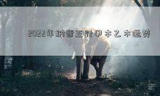2022年纳音五行甲木乙木运势