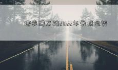 塔罗牌摩羯2022年爱情运势