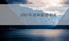 2022年龙的运势好么