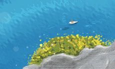 住宅风水 哪些住宅会犯尖角煞