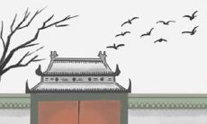 小鸟屎掉头上什么预兆 预兆好吗