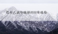属牛人虎年运势2022幸运色