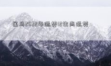 属马2022年运势12生肖运势