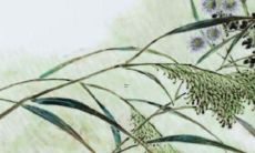 带财运的公司名字大全 财源滚滚好名