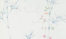 属蛇人2022年运势及运程男性
