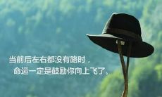 富贵竹摆放—2020年富贵竹应该摆放在什么方位吉利?