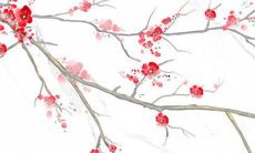 88年的虎年运势2022年运程