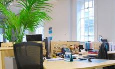 办公室里面不好的风水布置有哪些