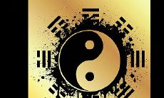 八字排盘软件专业版哪个八字排盘最权威?