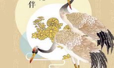 1978年重阳节出生属马人什么命局,重阳节吃什么面
