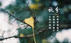 2019年秋分节气出生的人好吗 是什么命运?