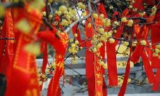 2020庚子年农历二月二十九祈福行不行?