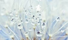 10月8日寒露节气出生的属猴人命好不好?