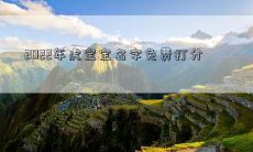 2022年虎宝宝名字免费打分
