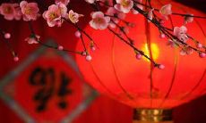 2020年1月31日——农历正月初七与哪个生肖相冲?