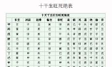 如何从八字中看配偶的长相特点