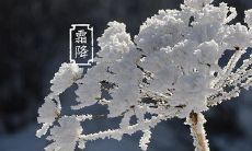 霜降是不是九月中气 2019年霜降卦象注解!