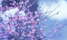 2020年腊月二十是几月几号?距离春节还有几天?