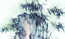 谷雨出生的女孩命好吗 运势怎么样