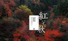 霜降是什么节气?霜降的气候特点